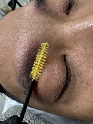 Eyebrow Embroidery — Shimmy brow studio