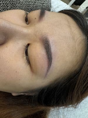 Ombre Powder Brows — Shimmy brow studio